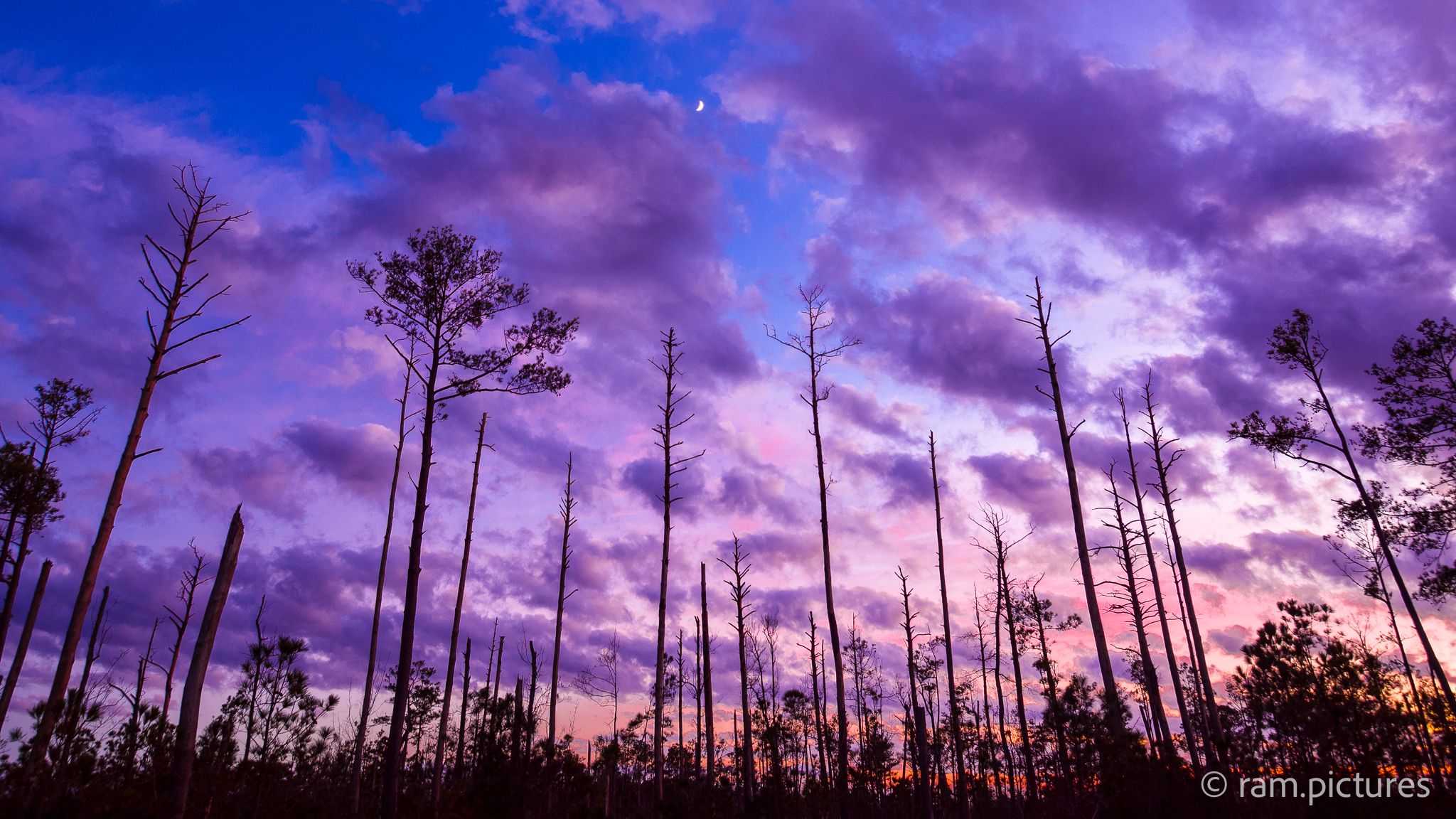 Outer Banks, North Carolina