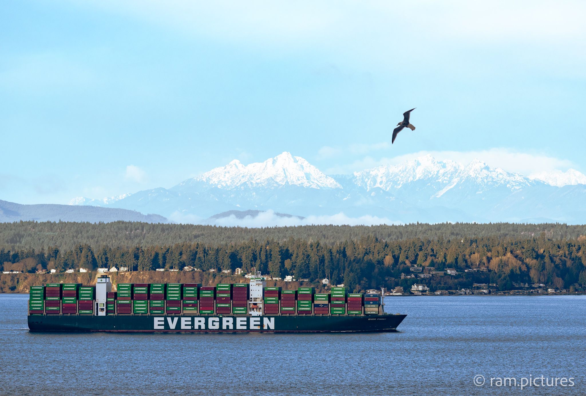 Elliot Bay, Seattle