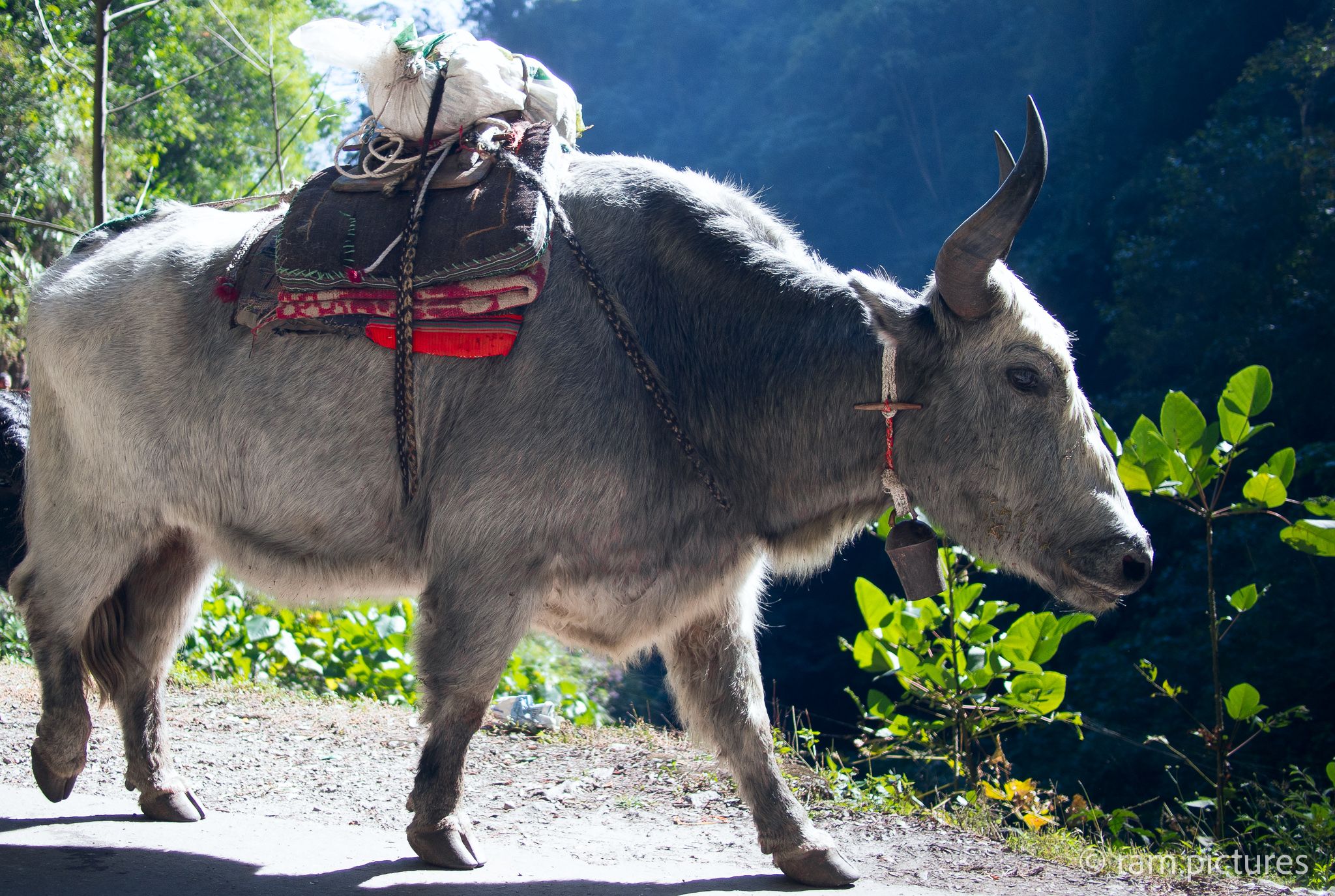 Sikkim, India