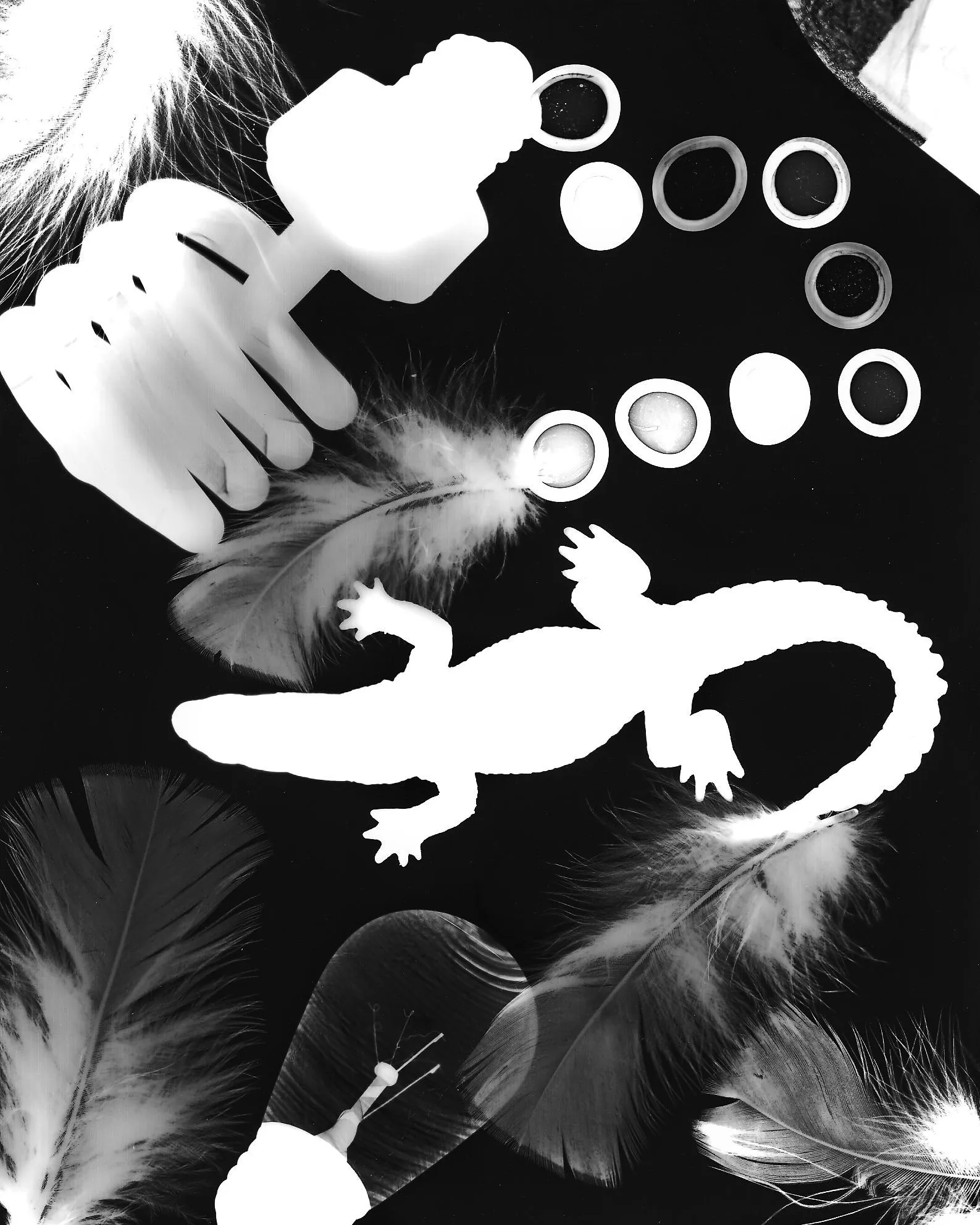 Photogram by Nick Ares