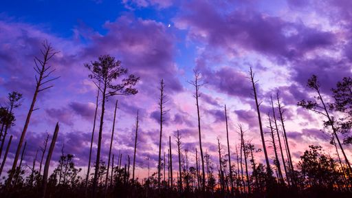Outer Banks, North Carolina
